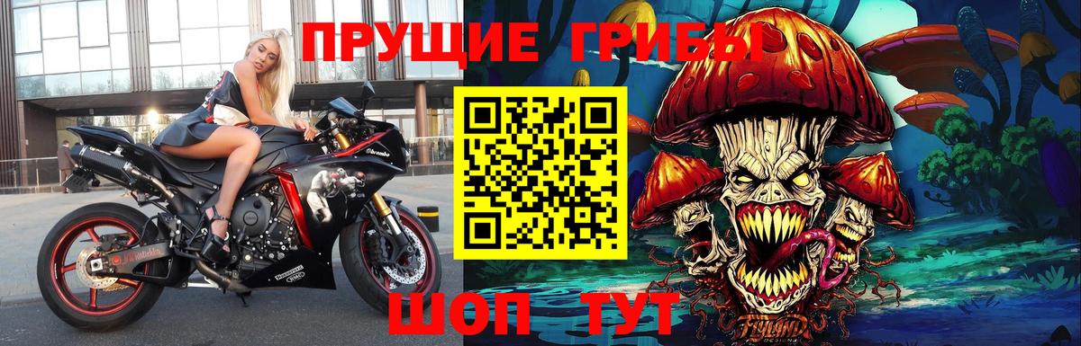 Псилоцибиновые грибы Magic Shrooms Калуга