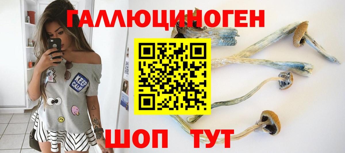 Псилоцибиновые грибы Psilocybine cubensis  Вход с VPN  сколько стоит  Галлюциногенные грибы GOLDEN TEACHER  Калуга 
